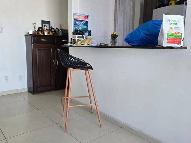 Apartamento para Locação em Belém - 5